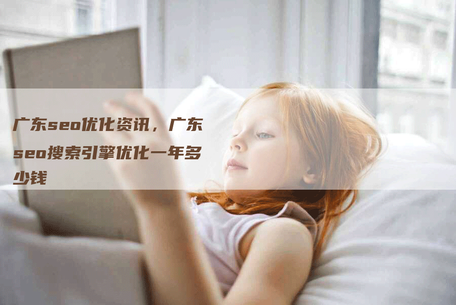 广东seo优化资讯，广东seo搜索引擎优化一年多少钱